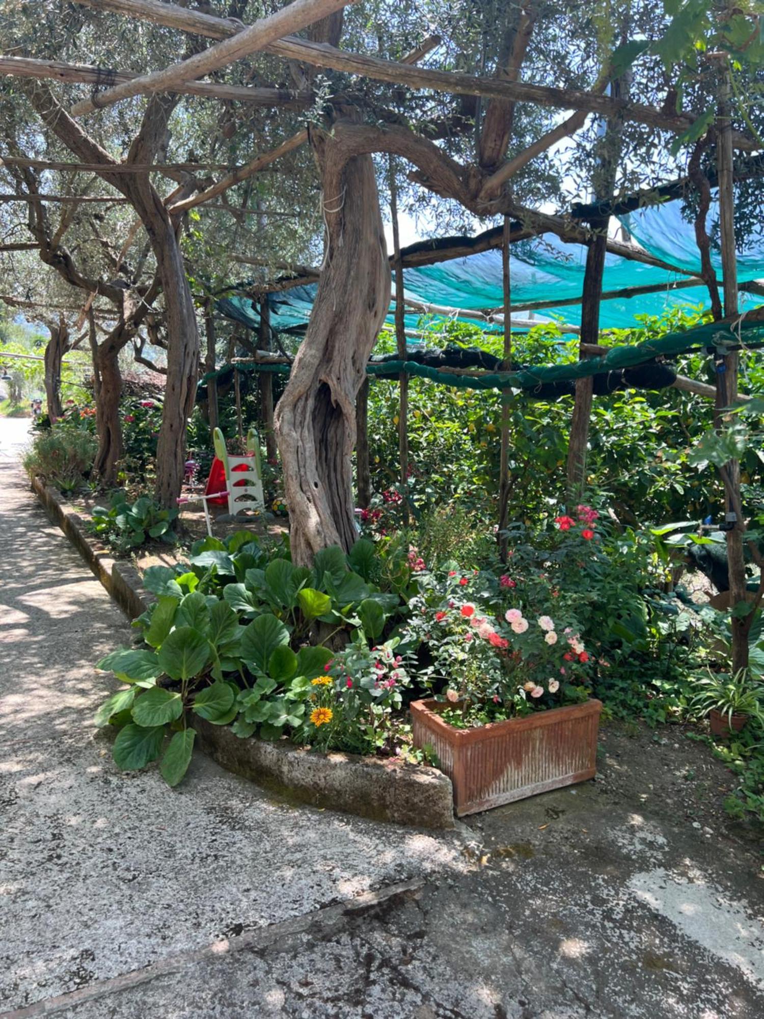 La Petra Βίλα Vico Equense Εξωτερικό φωτογραφία